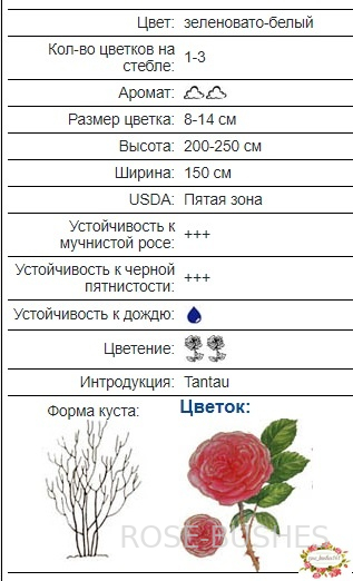 ����. Elfe (����. ������.) 